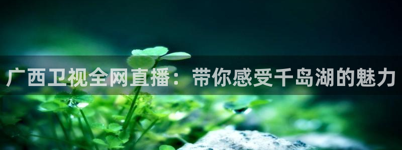 919直播看球 篮球比赛：广西卫视全网直播：带你感受千岛湖的魅力