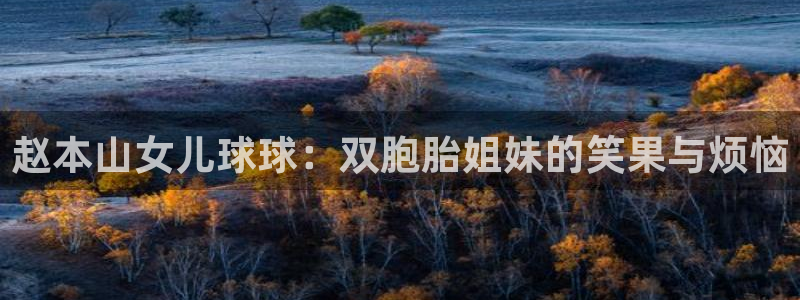 919体育直播app：赵本山女儿球球：双胞胎姐妹的笑果与烦恼