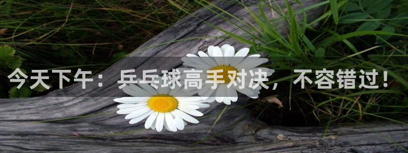 919直播间官网：今天下午：乒乓球高手对决，不容错过！
