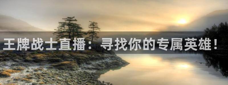 919nba直播：王牌战士直播：寻找你的专属英雄！