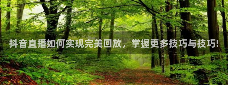 919直播看球 篮球比赛：抖音直播如何实现完美回放，掌握更多技巧与技巧!