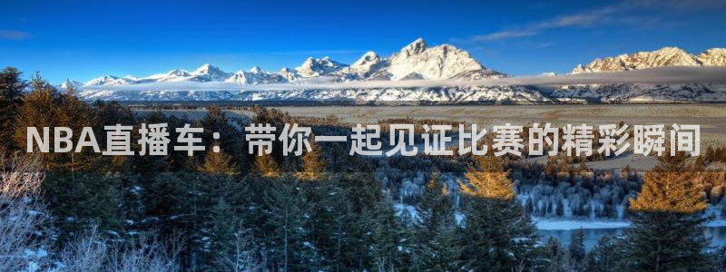 919体育直播间在线看：NBA直播车：带你一起见证比赛的精彩瞬间
