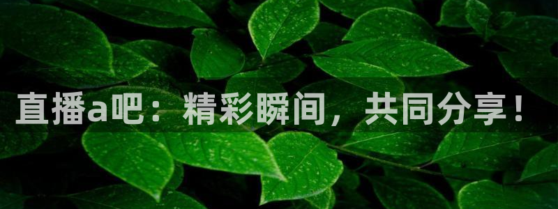 体育直播919：直播a吧：精彩瞬间，共同分享！