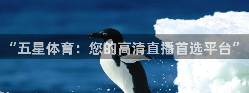919直播体育：“五星体育：您的高清直播首选平台”