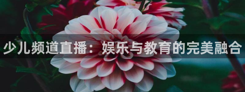 足球直播919：少儿频道直播：娱乐与教育的完美融合