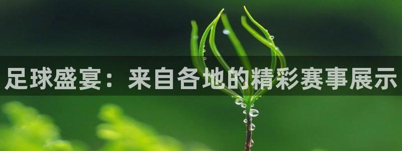 919直播间：足球盛宴：来自各地的精彩赛事展示