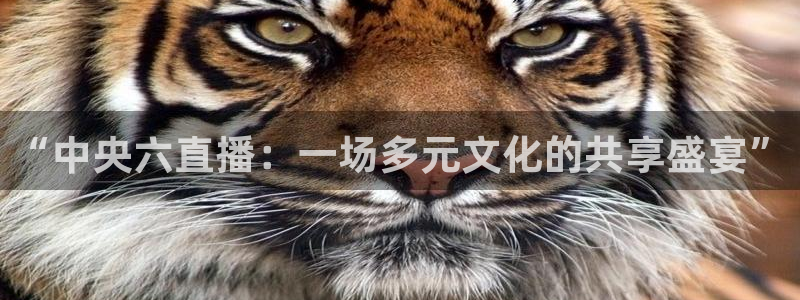919直播体育：“中央六直播：一场多元文化的共享盛宴”